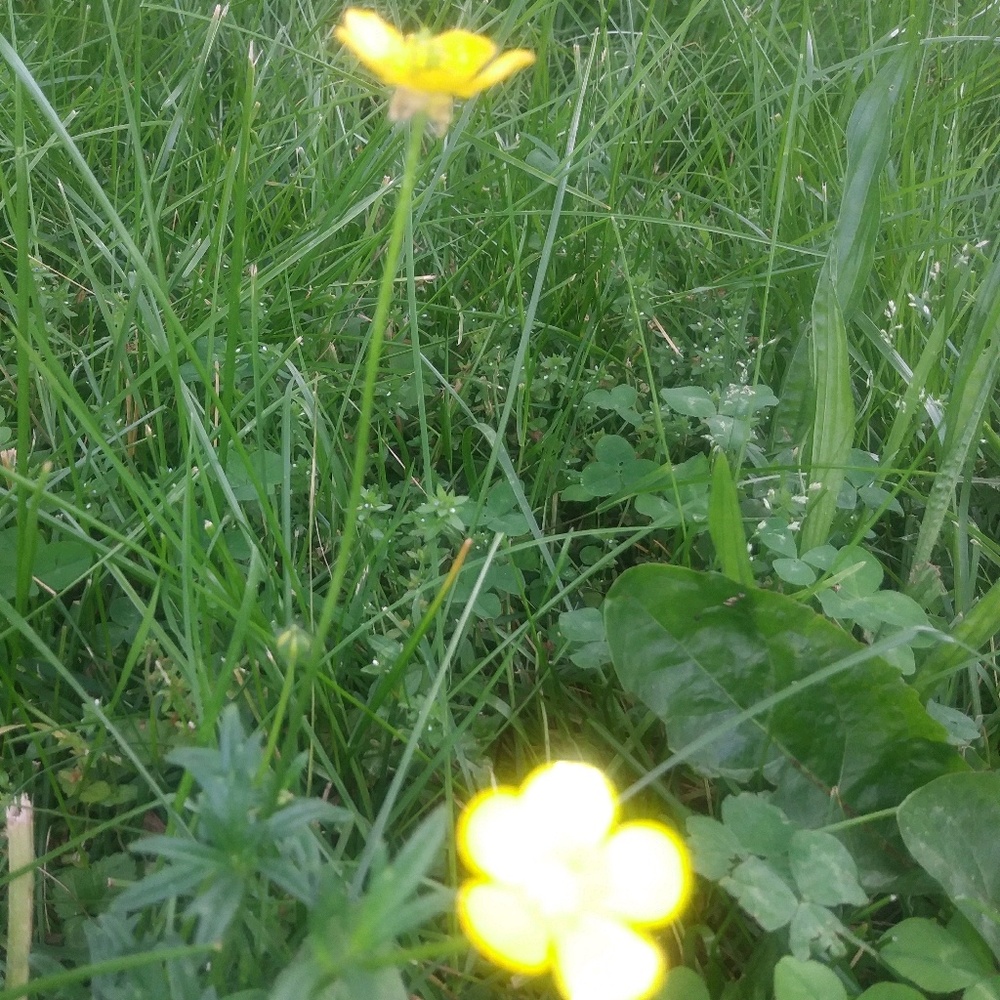 Meet your Posher, Francisca